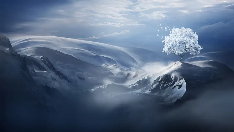 2k孤树壁纸-自然 - 雪景-风景「哲风壁纸」