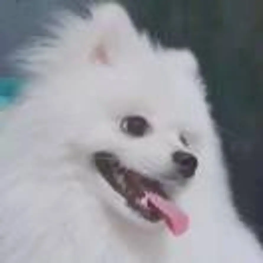 ZTL的头像