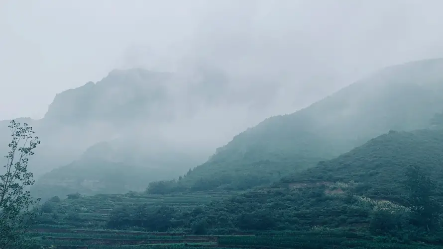 4k山景壁纸-山 - 雾-山林「哲风壁纸」