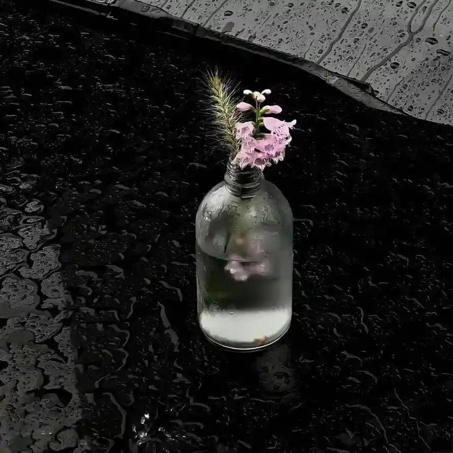 4k花卉壁纸 - 花 - 雨 - 雨景「哲风壁纸」