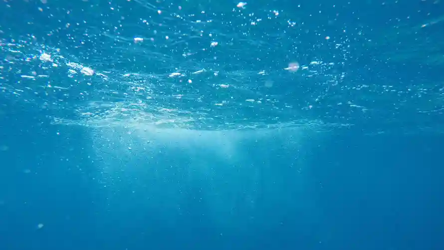4k景观壁纸-海 - 水下-水底「哲风壁纸」 4k景观壁纸-海 - 水下-水底「哲风壁纸」