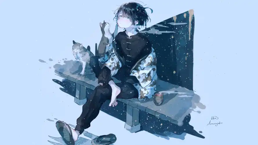 4k猫咪壁纸-猫 - 背景-雪景「哲风壁纸」