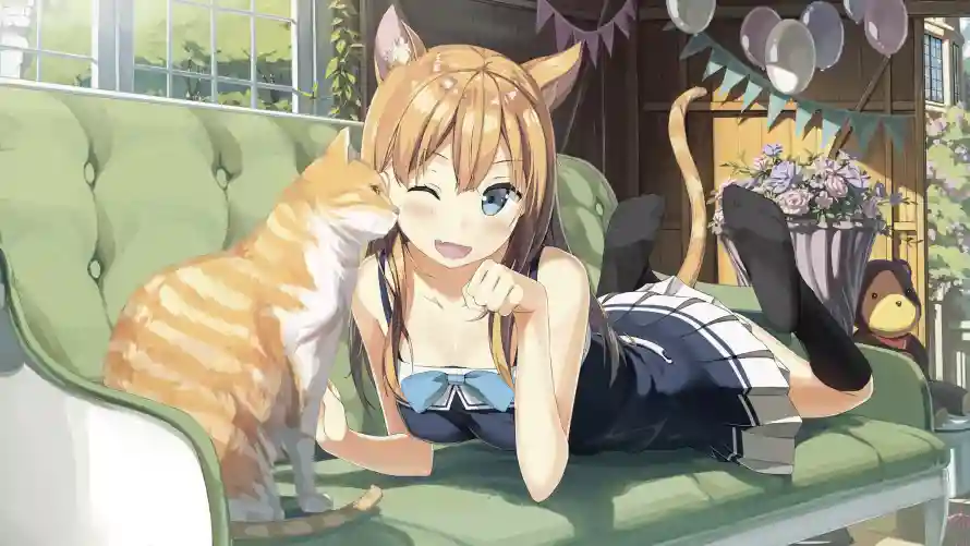 4k动漫壁纸-猫咪 - 萌娘-二次元「哲风壁纸」