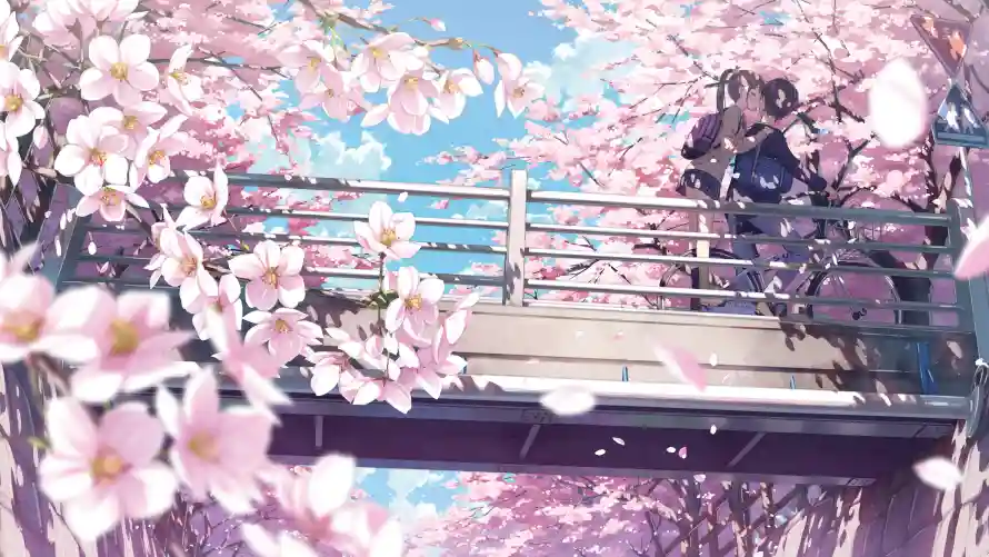 4k动漫壁纸-樱花 - 唯美风-动漫壁纸「哲风壁纸」
