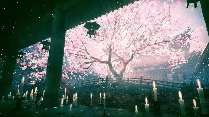 4k动漫壁纸-场景 - 夜景-樱花「哲风壁纸」