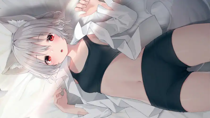 4k动漫壁纸-萌娘 - 银发-兽耳娘「哲风壁纸」