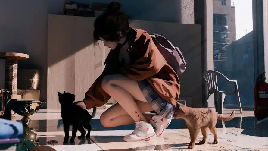 2k云虫壁纸-女孩 - 猫咪-逗猫「哲风壁纸」