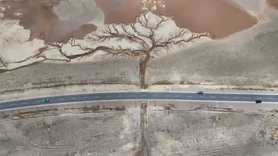 5k俯视壁纸-公路 - 枯树-风景「哲风壁纸」