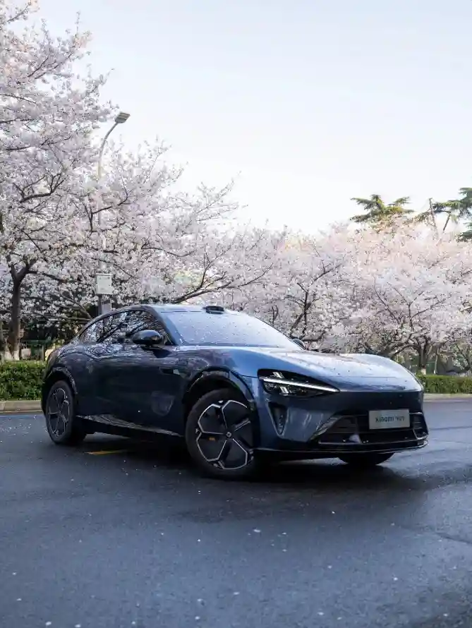 4k樱花壁纸 - 汽车 - 美景 - 小米suv「哲风壁纸」