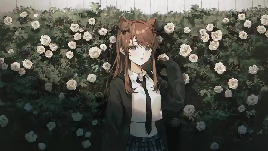 4k背景壁纸-花海 - 二次元-兽耳娘「哲风壁纸」