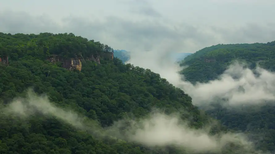 5k云雾壁纸-山峦 - 森林-美景「哲风壁纸」