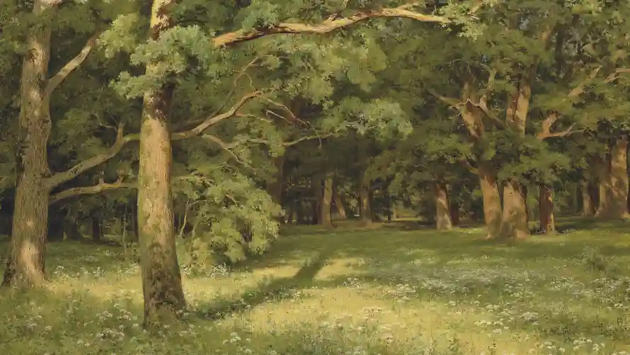 4k森林壁纸-油画 - 美景-自然「哲风壁纸」