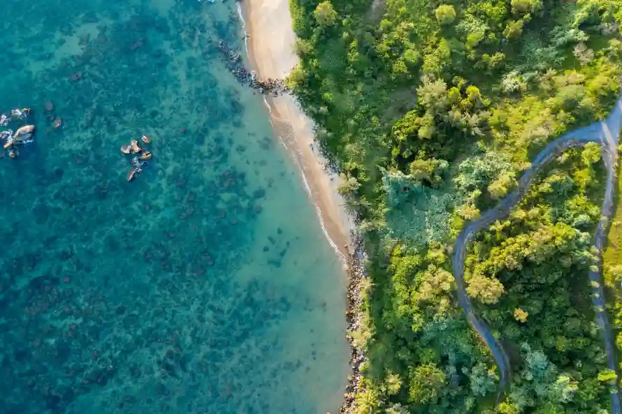 5k俯视壁纸-森林 - 海岸-海洋「哲风壁纸」