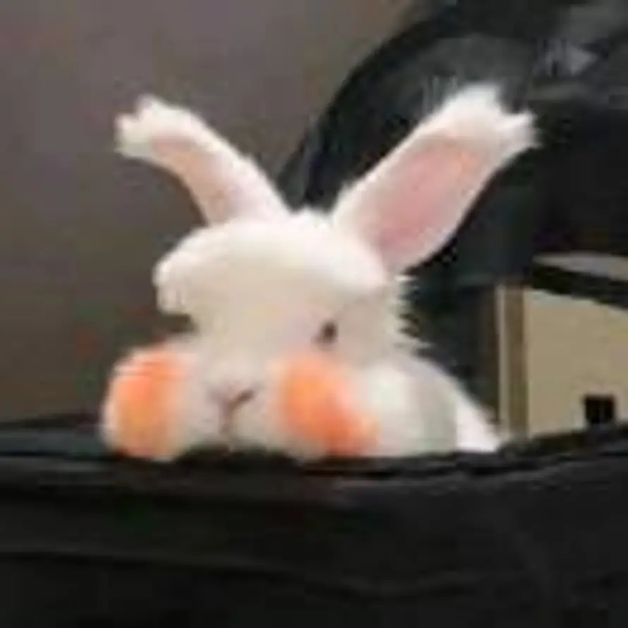 🐰🐰🐰的头像