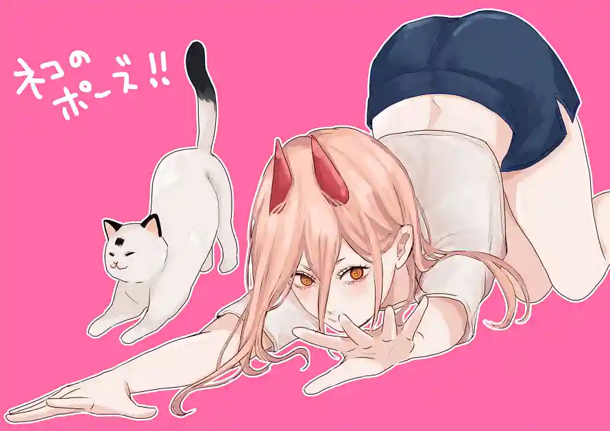 3k少女壁纸-猫咪 - 电锯-萌趣「哲风壁纸」