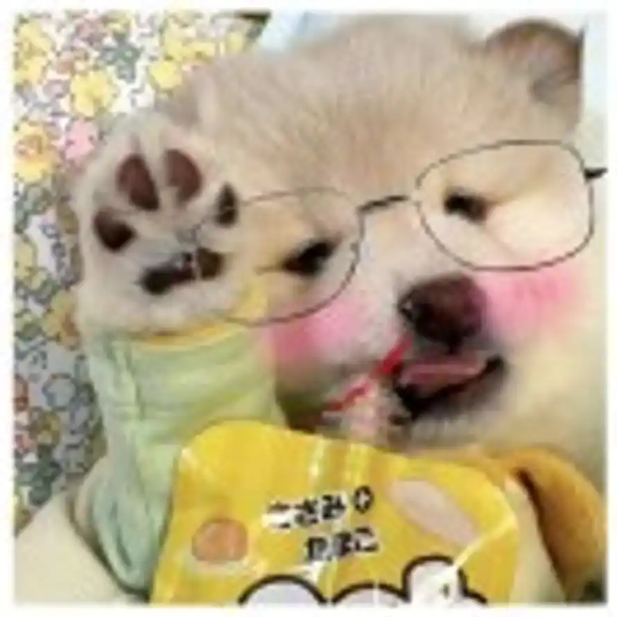Zhao_Xin的头像