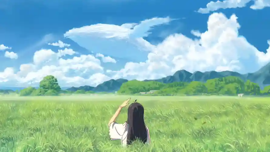 2k夏天壁纸-女孩 - 草原-赏景「哲风壁纸」