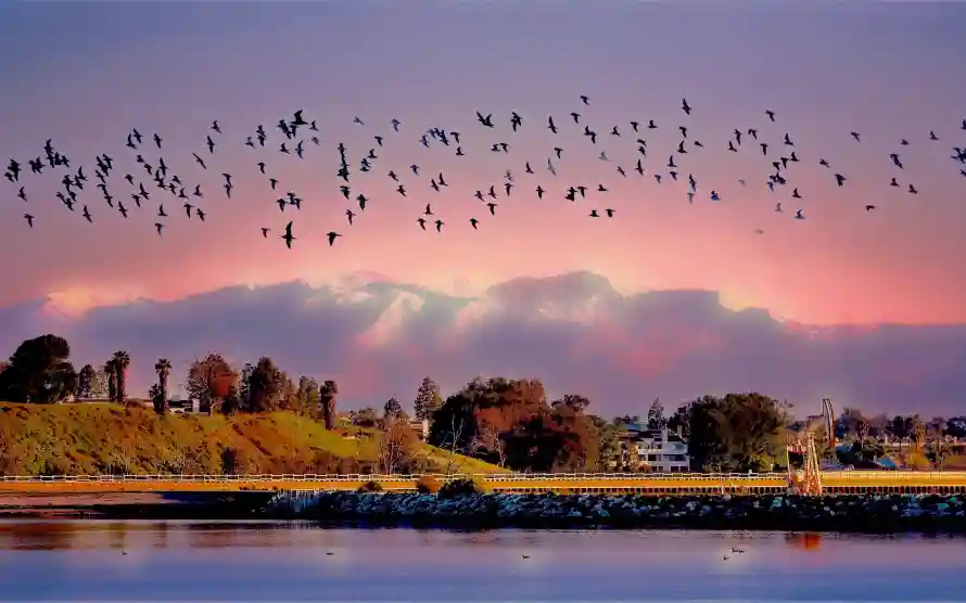 3k夕阳壁纸-景观 - 河岸-自然「哲风壁纸」