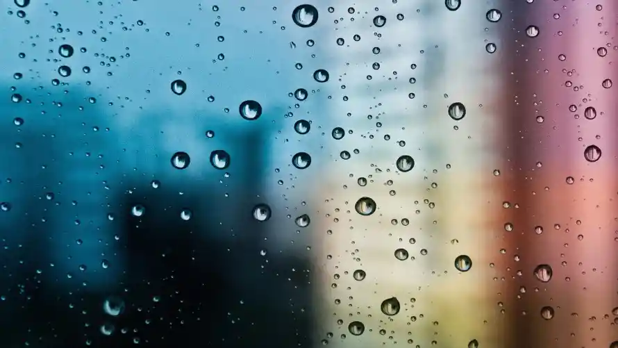 8k下雨壁纸-雨 - 水珠-雨幕「哲风壁纸」