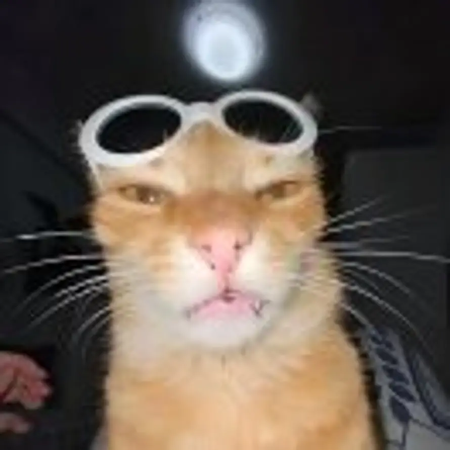 ARICK的头像