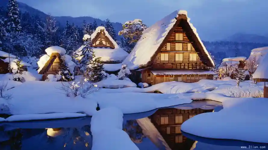 2k冬季壁纸-雪夜 - 雪景-风景「哲风壁纸」