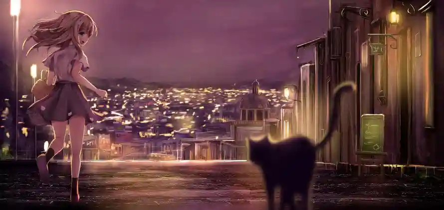 2k夜城壁纸-猫 - 少女-二次元「哲风壁纸」
