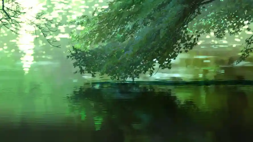 2k倒影壁纸-晨雾 - 森林-湖面「哲风壁纸」