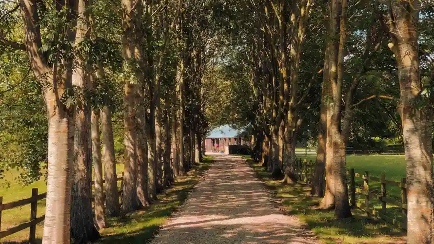 4k自然壁纸-风景 - 木栅栏-乡村风景「哲风壁纸」
