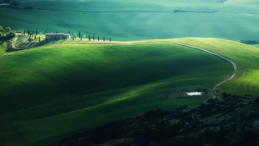 2k绿野壁纸-自然 - 草地-户外美景「哲风壁纸」