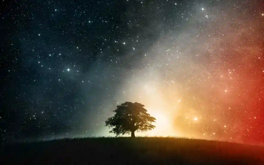 2k山丘壁纸-星光 - 星空-树影「哲风壁纸」