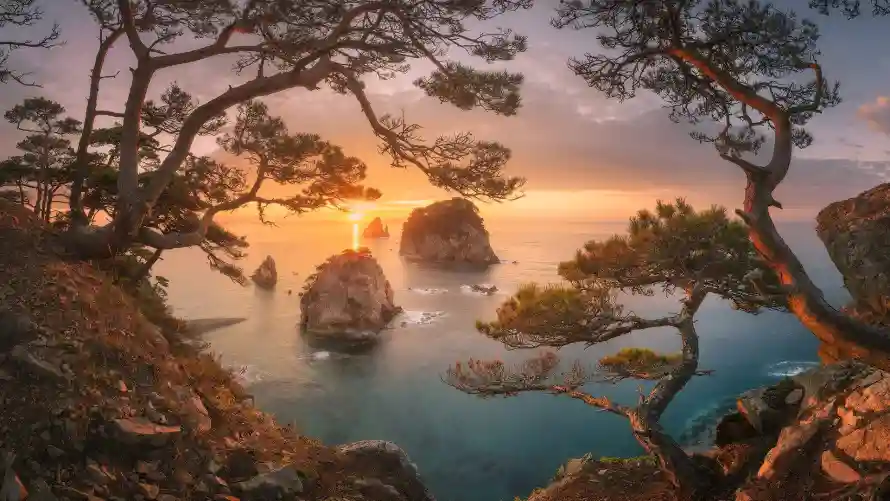 2k自然壁纸-风景 - 夕阳海景-岩石松树「哲风壁纸」