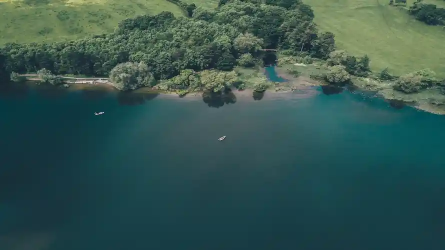 4k自然壁纸-风景 - 森林植被-森林湖泊「哲风壁纸」