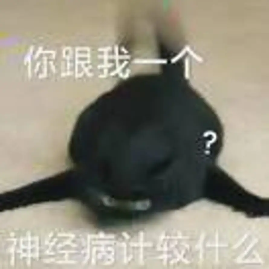 苗苗的头像
