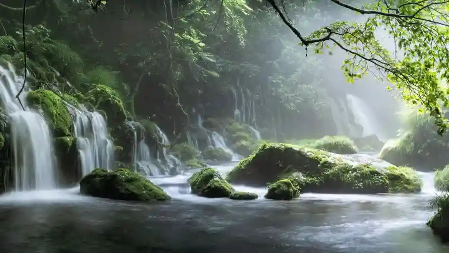 2k自然壁纸-风景 - 岩石溪流-森林瀑布「哲风壁纸」