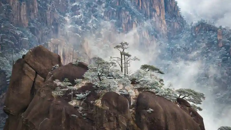 4k自然壁纸-风景 - 黄山-迎客松「哲风壁纸」