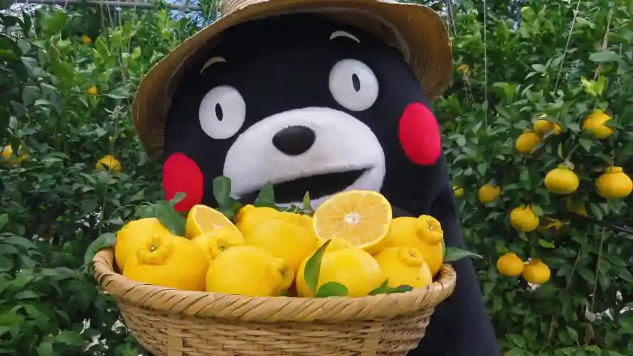 2k可爱壁纸-柠檬 - 萌趣-治愈系「哲风壁纸」