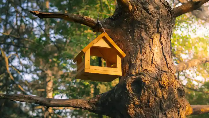 2k可爱壁纸-风景 - 可爱小屋-树屋鸟窝「哲风壁纸」
