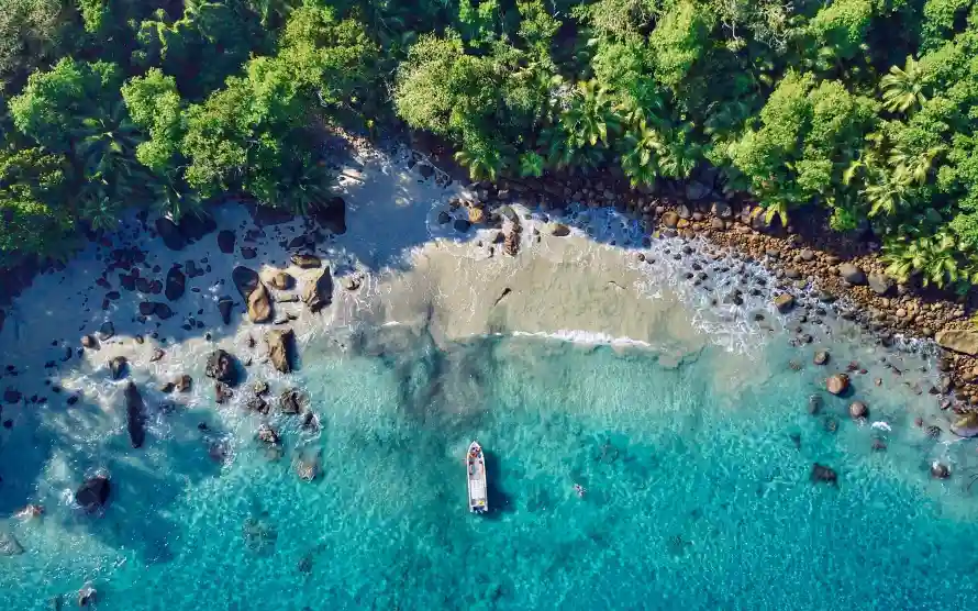 4k俯瞰壁纸-海滩 - 海岸绿植-海景风光「哲风壁纸」