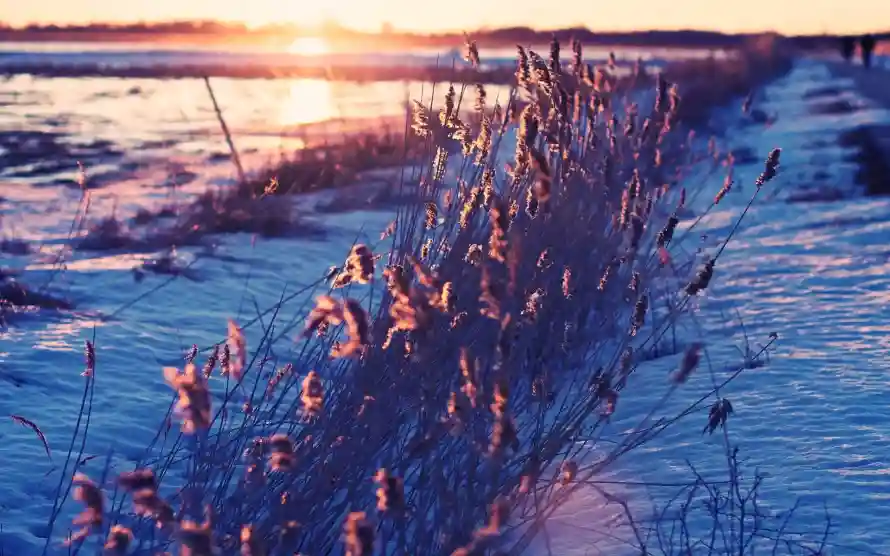 2k自然壁纸-风景 - 冬季雪地-冬日夕阳「哲风壁纸」