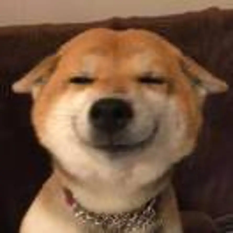 💫的头像
