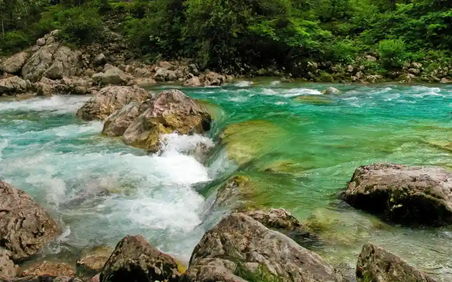 2k溪水壁纸-溪流 - 山间溪流-岩石溪流「哲风壁纸」