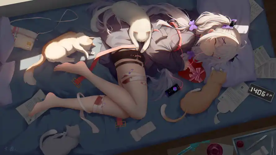 4k女孩壁纸-二次元 - 卧室背景-猫咪陪伴「哲风壁纸」