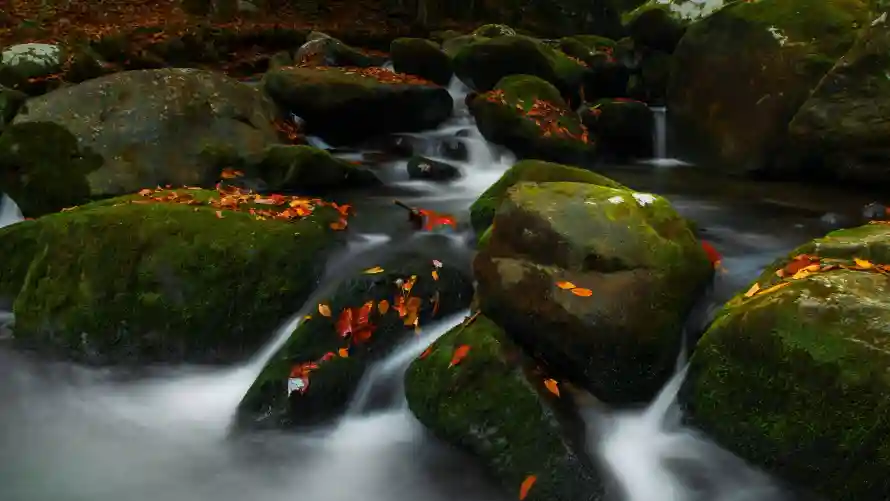 4k自然壁纸-风景 - 流水风景-溪流岩石「哲风壁纸」