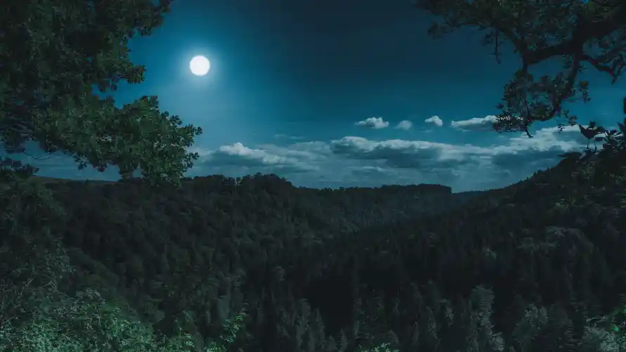 4k回忆壁纸-夏夜 - 夜景-明月「哲风壁纸」