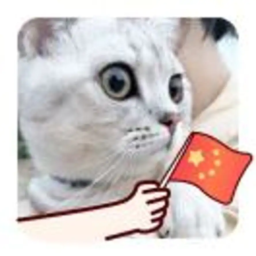 贰叁的头像
