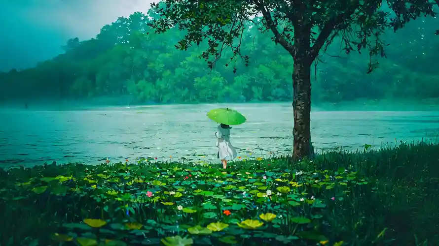 3k下雨壁纸-树木 - 湖畔-绿伞「哲风壁纸」
