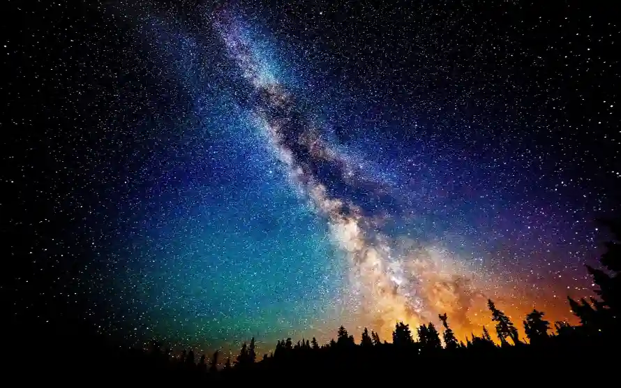 3k剪影壁纸-夜景 - 星空-森林「哲风壁纸」