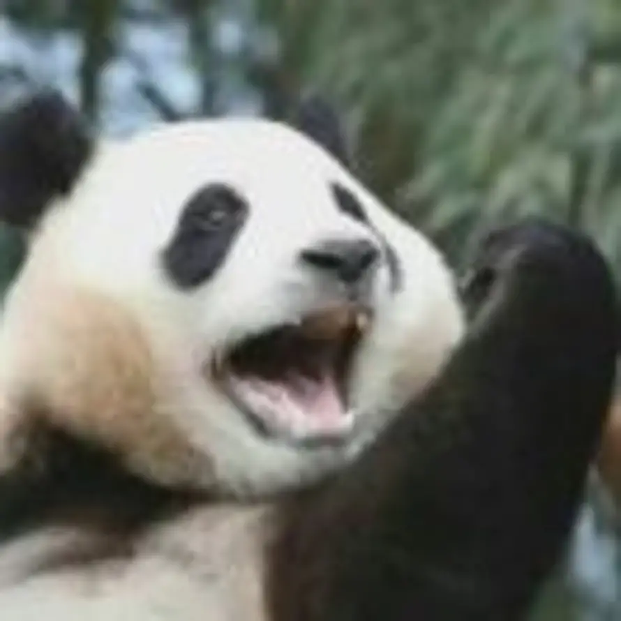，的头像