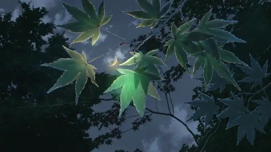 2k夜景壁纸-枫叶 - 森系-艺术「哲风壁纸」