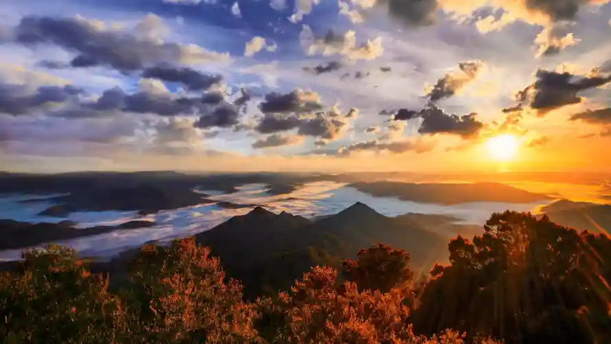 4k自然壁纸-风景 - 云海景观-山林背景「哲风壁纸」